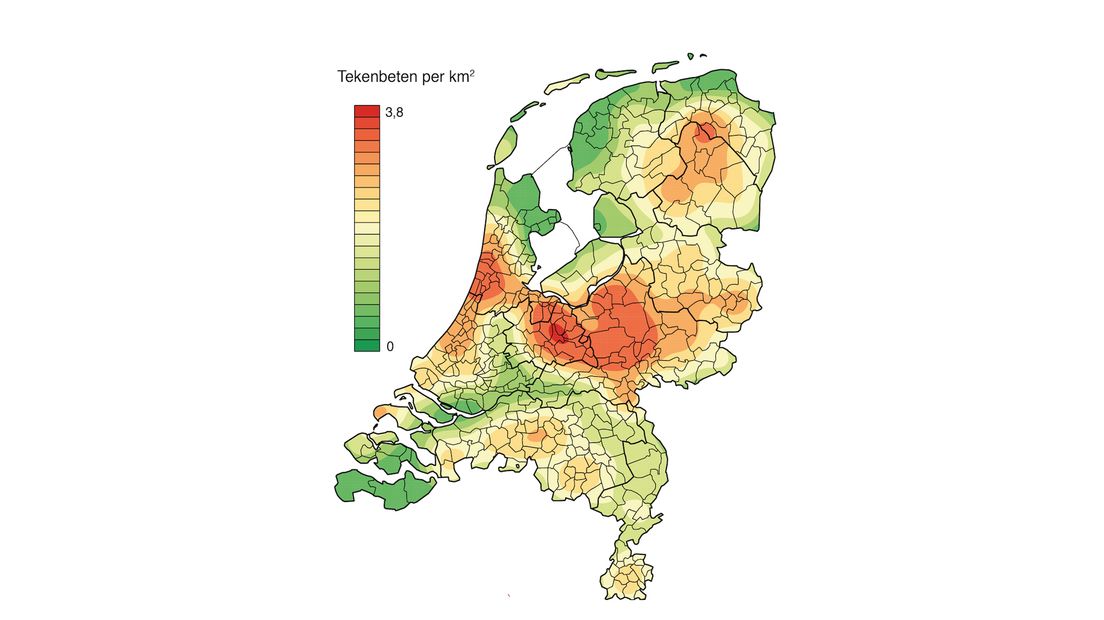 teken.jpg